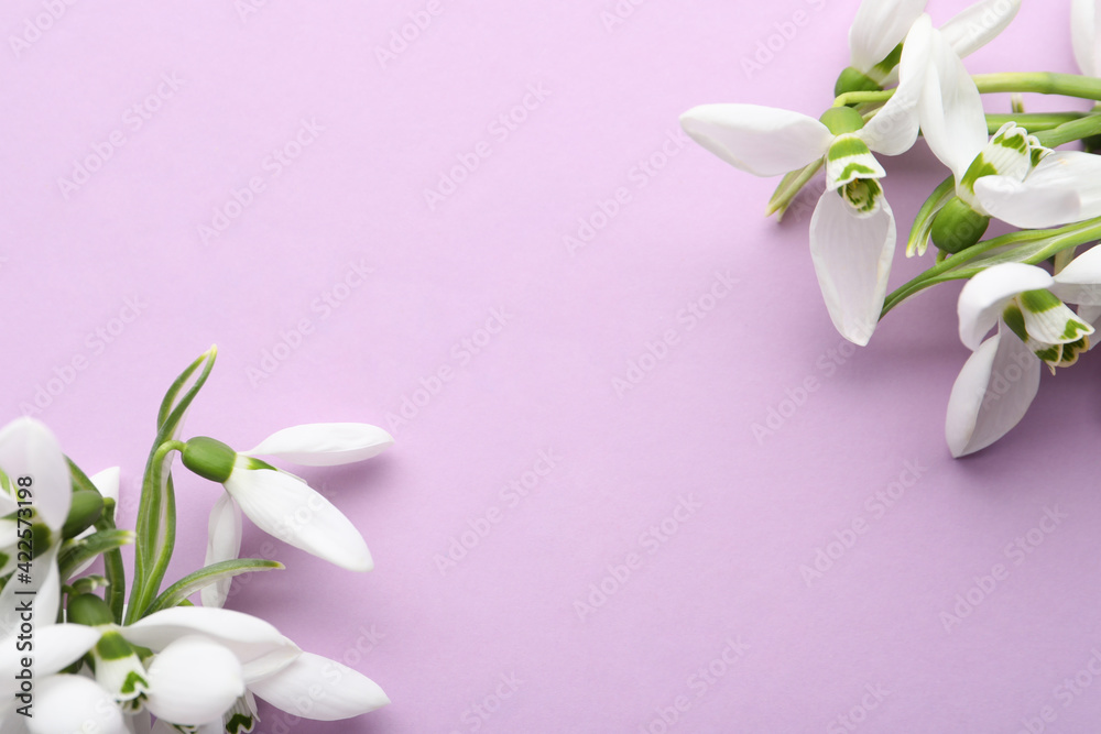Fototapeta premium Beautiful snowdrops on lilac background, flat lay. Space for text