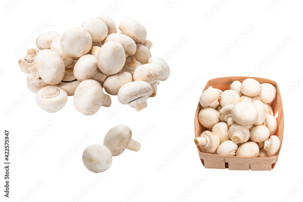 Champignon mushroom isolated on white background. Champignon mushroom isolated on white background.