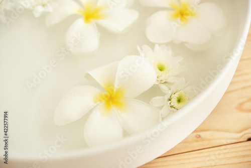 closeup of frangipani flowers and chrysanthemum floating in bowl of water at wellness center. white flowers in ceramic bowl with water for aroma therapy at spa. spa setting for beauty treatment.