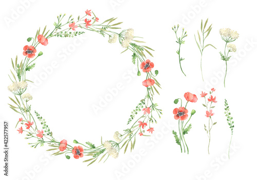 Watercolor wildflowers herbs wormwood poppy wreath frame