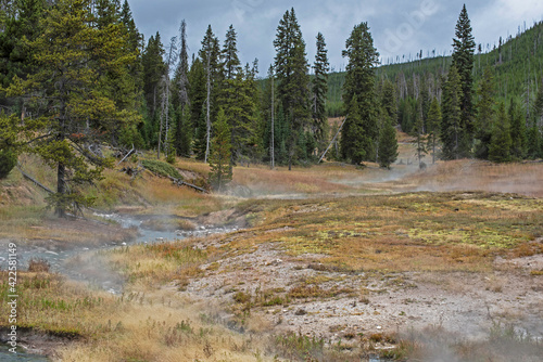 Steaming geyser landscapes in Yellowstone National Park.
