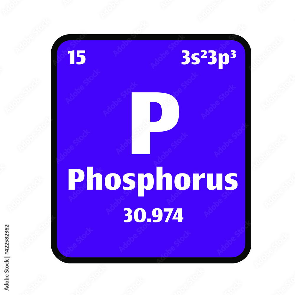 Phosphorus (P) button on purple background on the periodic table of elements with atomic number or a chemistry science concept or experiment. Phosphorus (P) button on purple background on the periodic table of elements with atomic number or a chemistry science concept or experiment.