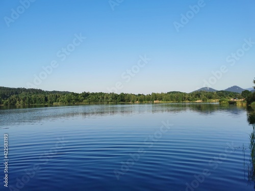 Ripples on blue water surface with trees reflecting in the lake. Clear sky, calm sunset background