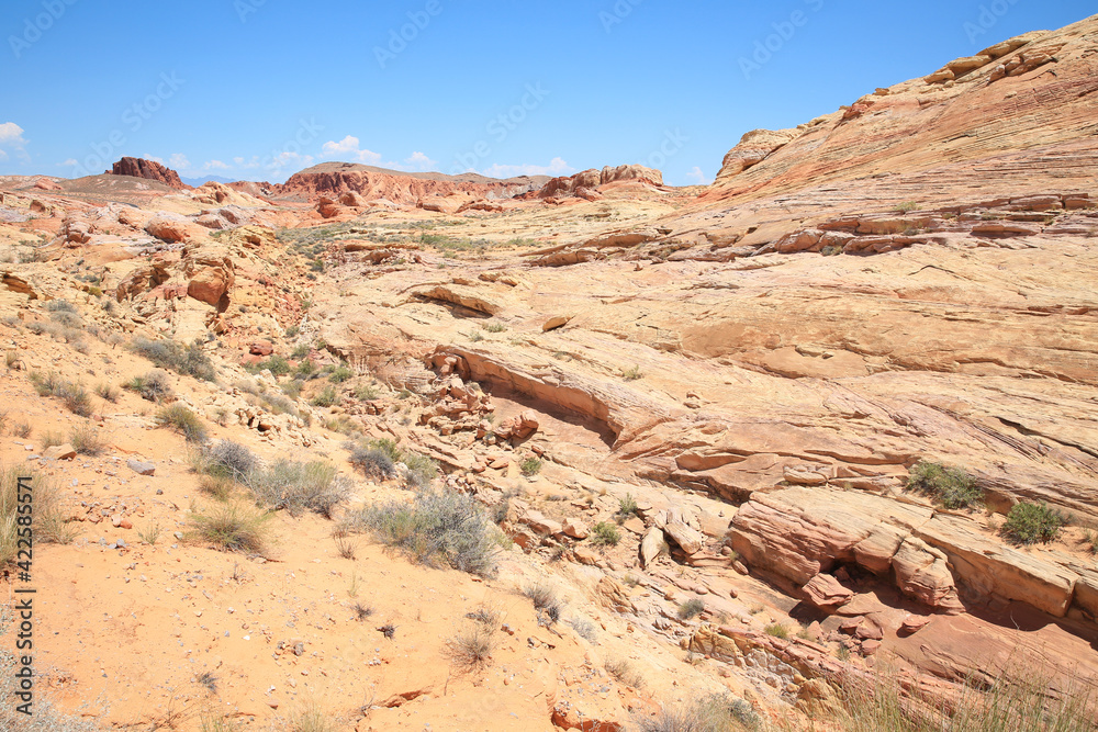 Fototapeta premium Valley of Fire State Park in Nevada, USA