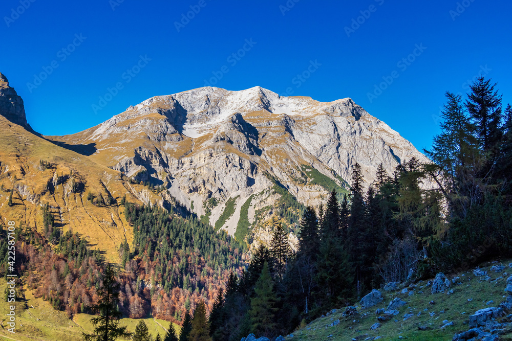 Maple trees at Ahornboden, Karwendel mountains, Tyrol, Austria Maple trees at Ahornboden, Karwendel mountains, Tyrol, Austria