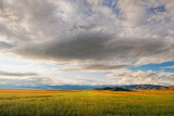 Fields and open spaces in the steppes of Tuva against the background of sunset clouds in autumn it is time to harvest cereals