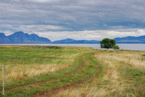 road to the shore of the Krasnoyarsk reservoir tree on the shore in the distance of Mount Tepsei under a gloomy sky