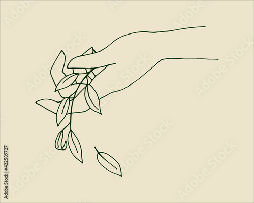 Stylized graceful female hands and a eucalyptus plant. Boho modern aesthetic background with feminine hand gestures. Modern minimalist art print, body care symbol, eco-friendly cosmetics.