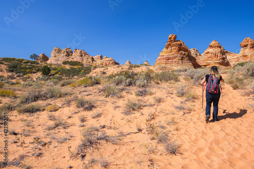 Woman hiking in the beautiful landscape and rock formations of Coyote Buttes South in the Vermilion Cliffs National Monument in northern Arizona