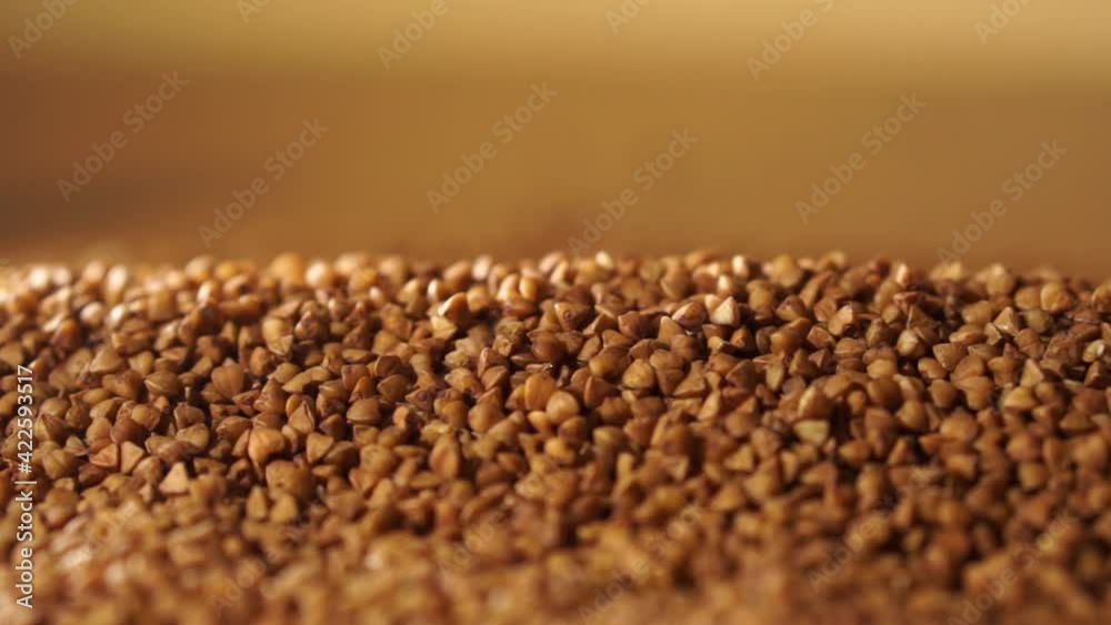 Buckwheat close-up.  Raw buckwheat. Healthy organic food diet concept. gluten free ancient grain for healthy diet, selective focus. Cultivation of safe and healthy food ingredients.