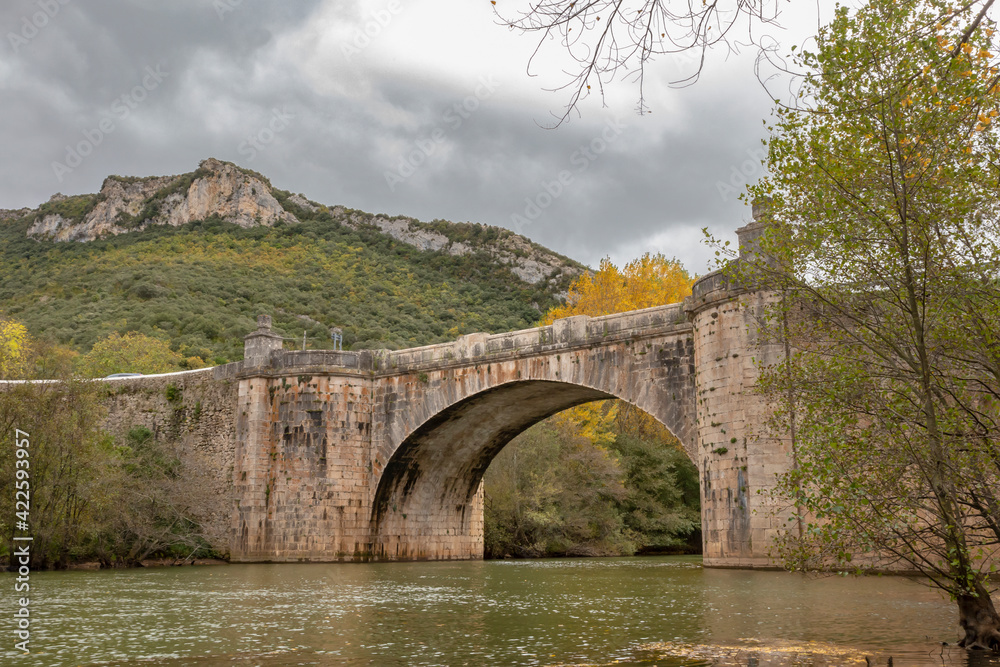 Old stone bridge upon the Ebro river, in Burgos, Spain