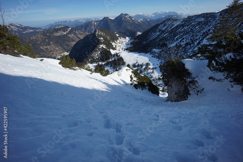 Ruchenköpfe mit der Schnittlauchrinne photo