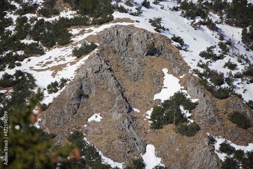 Winterwanderung Ruchenköpfe: Blick Richtung Hochmiesing photo