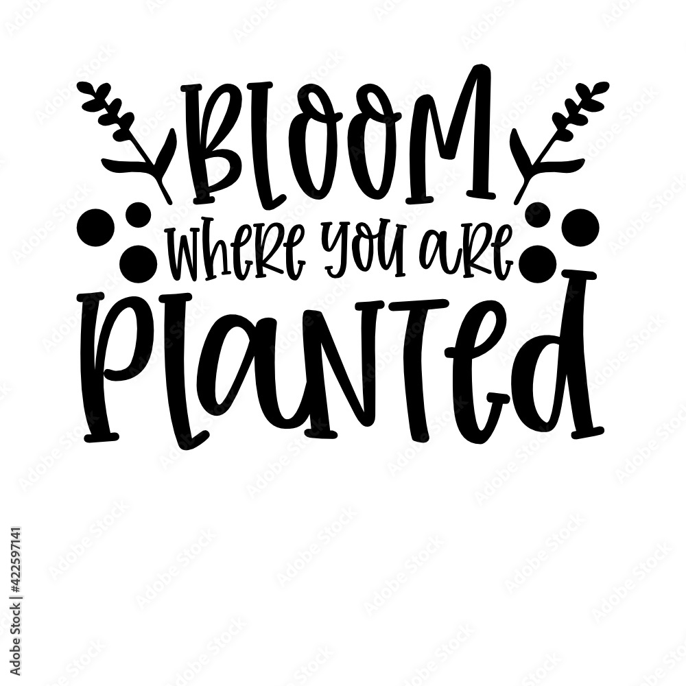 bloom where you are planted bloom where you are planted