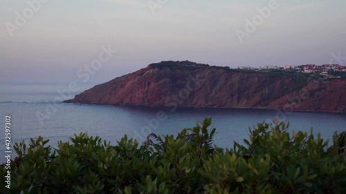 Camera moving up behind a bush revealing a beautiful landscape in the sea.