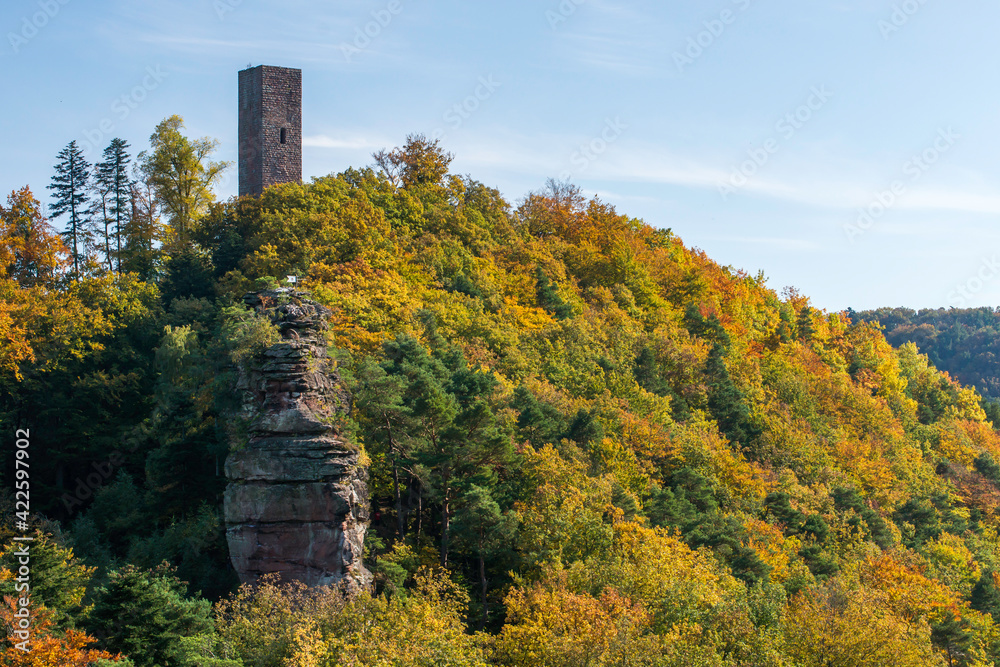 Herbstlicher Blick auf die Burgruine Scharfenberg (auch Münz genannt) im Pfälzerwald