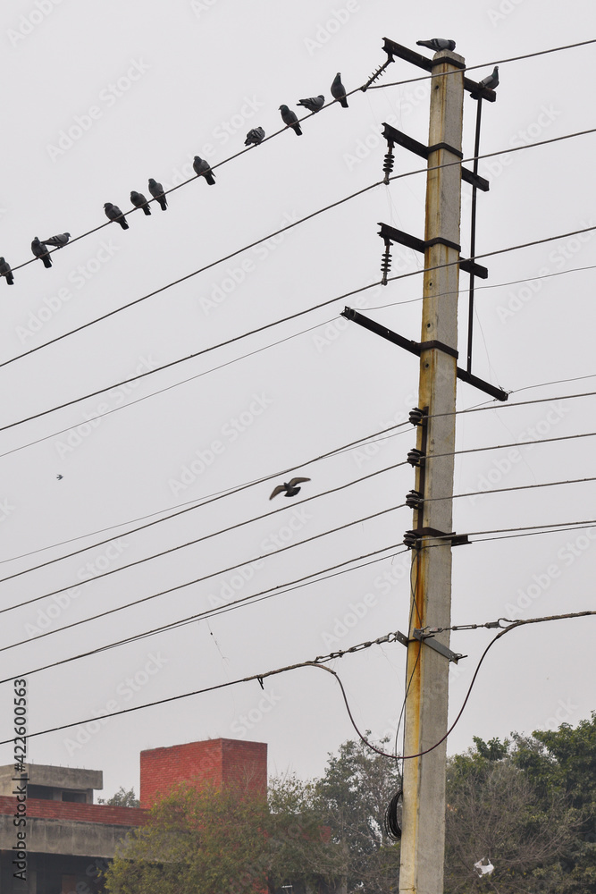 Obraz premium power lines on a pole