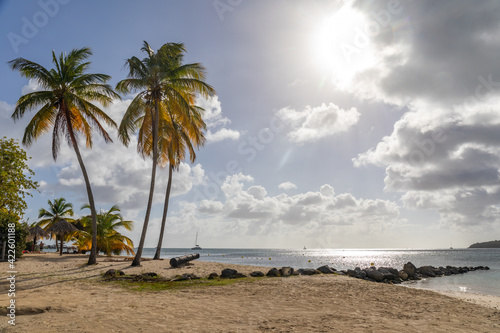 Fototapeta Naklejka Na Ścianę i Meble -  Pointe Marin beach, Sainte-Anne, Martinique, French Antilles