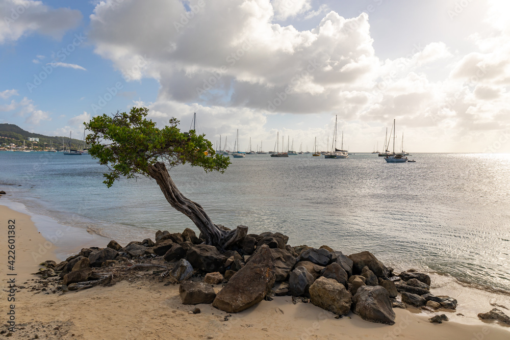 Pointe Marin beach, Sainte-Anne, Martinique, French Antilles