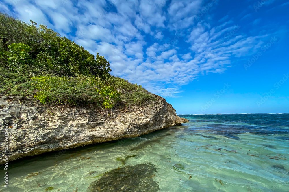 Naklejka premium Pointe a Pomme, Cap Chevalier, Sainte-Anne, Martinique, French Antilles