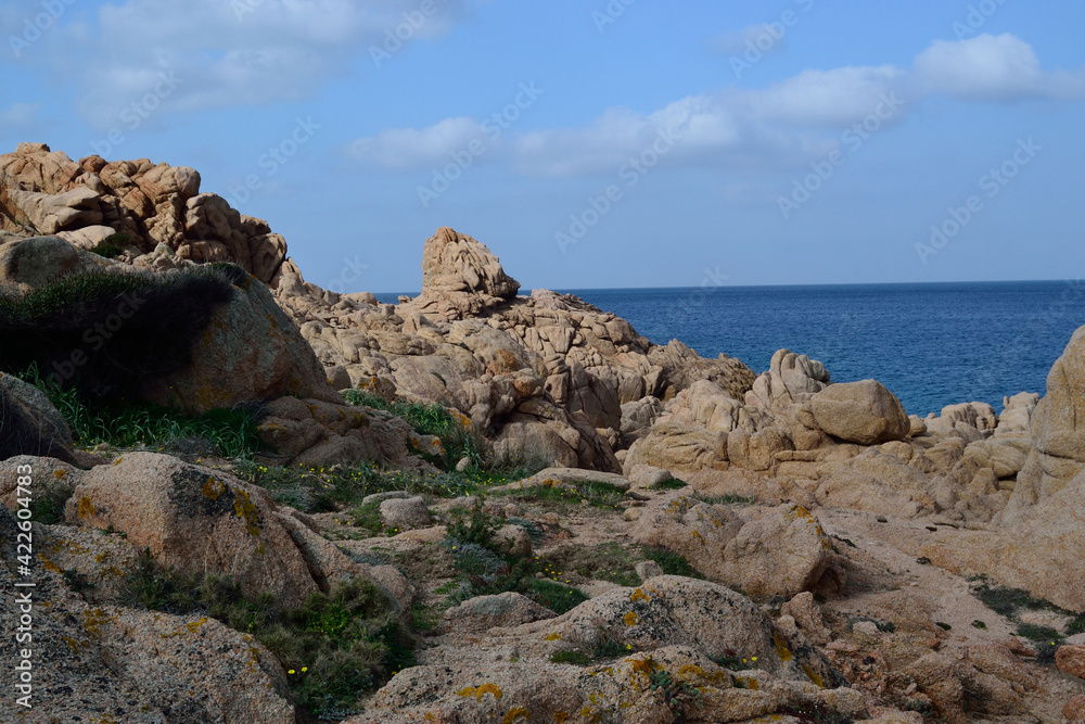 Veduta della costa di Cala Sarraina Veduta della costa di Cala Sarraina