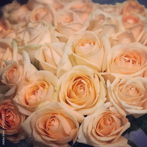 Large bouquet of pink roses