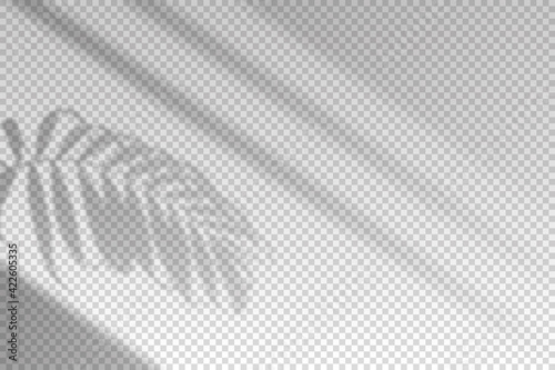 Shadow blinds. Light from window. Overlay effect. Shade jalousie transparent. Isolated background. Light window blinds. Reflected shadow on wall. Realistic soft shade blind. Horizontal mockup. Vector