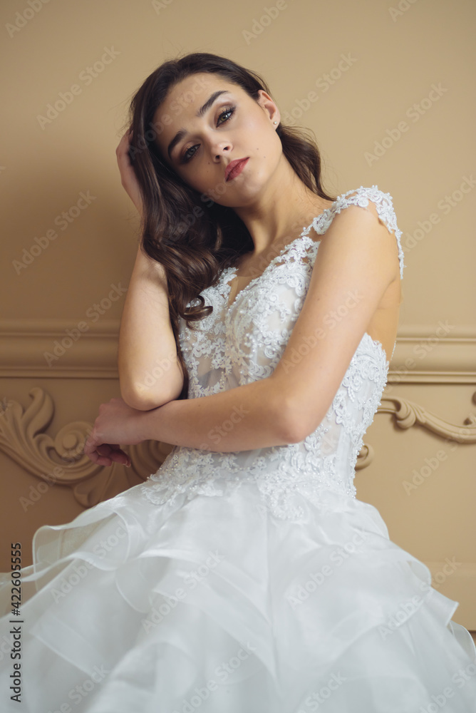 Beautiful bride in a luxurious wedding dress Beautiful bride in a luxurious wedding dress