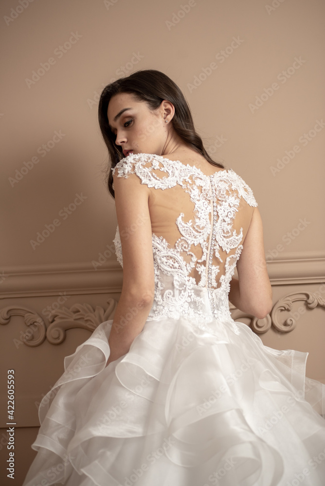 Beautiful bride in a luxurious wedding dress