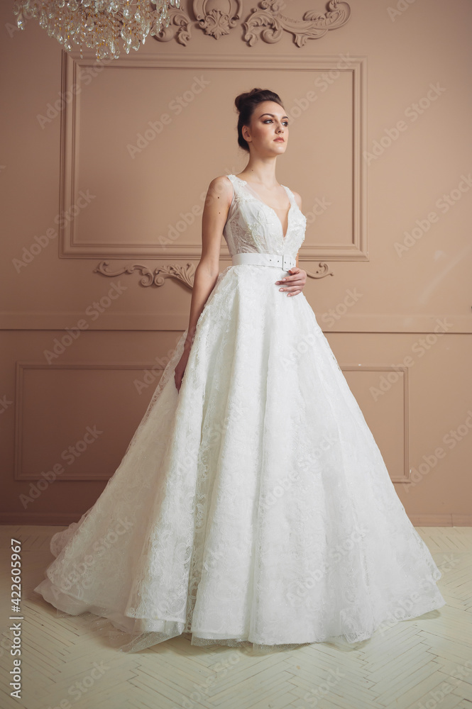 Fototapeta premium Beautiful brunette bride in a fashion wedding dress,princess style. Beauty face.Studio shot.Beautiful bride portrait