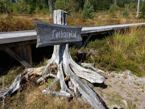 Photos Baumwurzel am Lotharpfad mit Landschaften