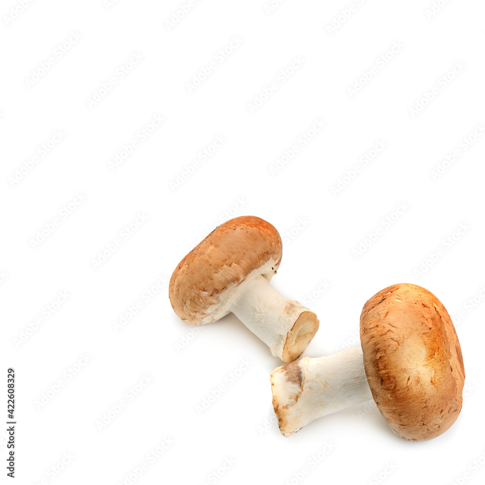 Fresh champignon mushrooms, isolated on white. Free space for text.