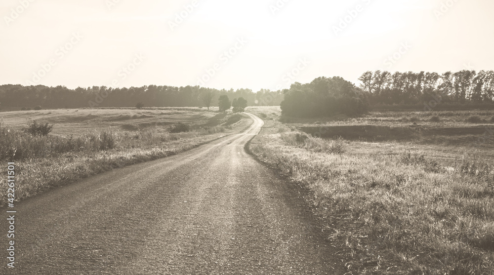 Summer sunny landscape with empty country asphalt road passing through the fields and forest.Photography made with sepia filter in retro style.