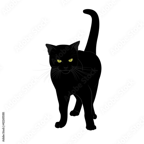 A black cat with a serious look and yellow eyes stands with its tail raised. Isolated on a white background. Vector illustration in cartoon style.