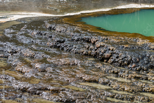 Waimangu Volcanic Valley, New Zealand photo