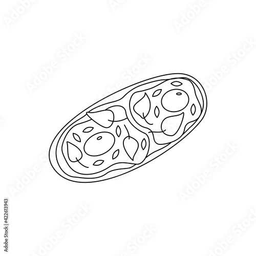 Sandwich with scrambled eggs, sesame seeds and herbs, curd cheese, breakfast or snack. Black and white doodle illustration vector