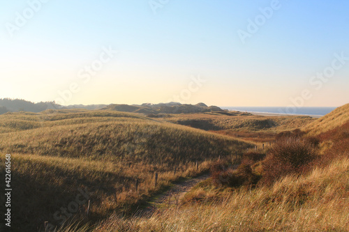 Juist, East Frisian Islands, dunes close with the North Sea in the background / Insel Juist in Ostfriesland, Dünenlanschaft mit Meer im Hintergrund