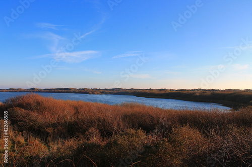 Juist  East Frisian Islands   Insel Juist in Ostfriesland  D  nenlandschaft in Lee beim Hammersee