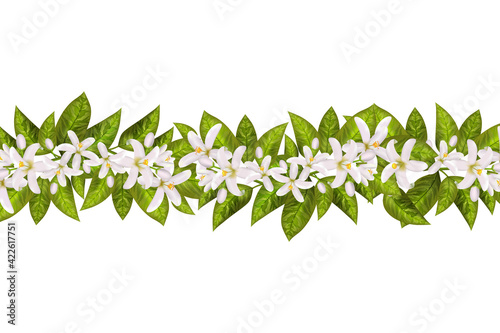 Labels of Cosmetic Skin Care Product design.Vector illustration.Realistic orange flowering branch, leaves, neroli flowers.
