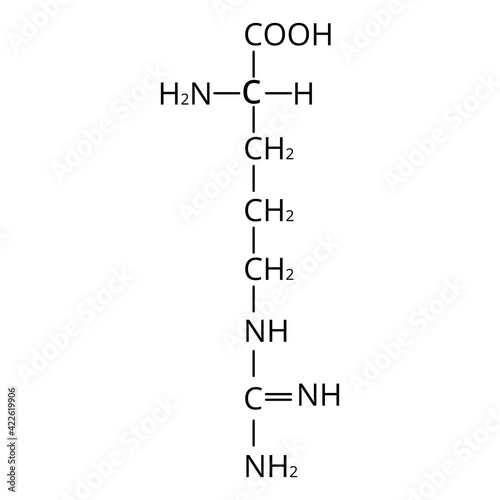 Arginine amino acid. Chemical molecular formula Arginine amino acid. Vector illustration on isolated background