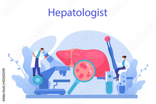 Hepatologist concept. Doctor make liver examination, hepatectomy.