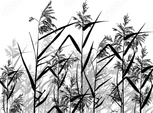 group of black and grey rush silhouettes