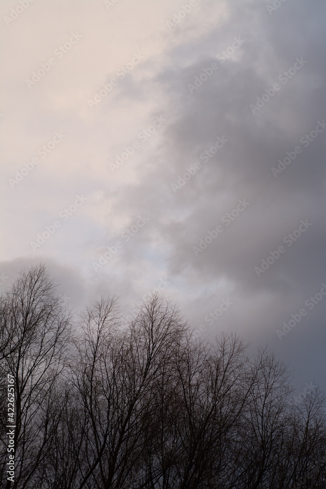 Dramatic sunset with tree silhouettes