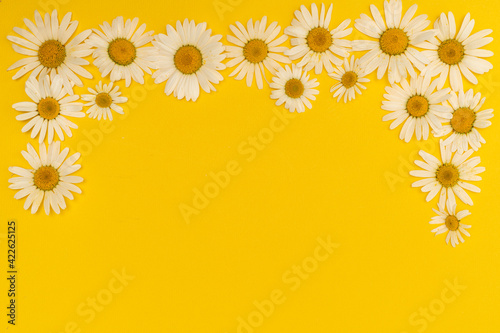 Flowers composition. Chamomile flowers on yellow background. Spring  summer concept. Flat lay  top view  copy space