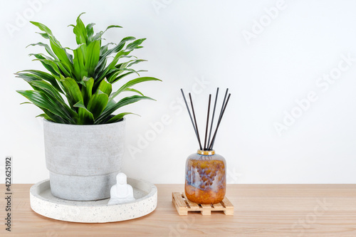 Photography Buddha statuette home decoration near green plant and aroma lamp with incense sticks