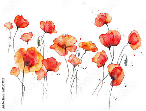 Red poppies watercolor illustration