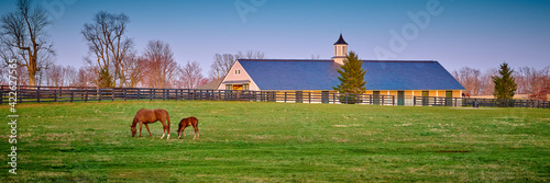 A mare and foal grazing on early spring grass with horse barn in the background.