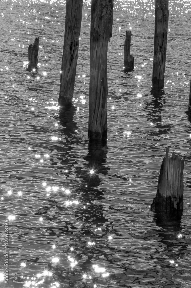 muelle roto en blanco y negro muelle roto en blanco y negro