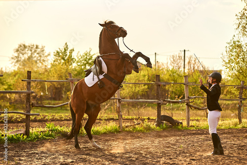 A horse rider girl is training a horse. The horse stood on its hind legs 