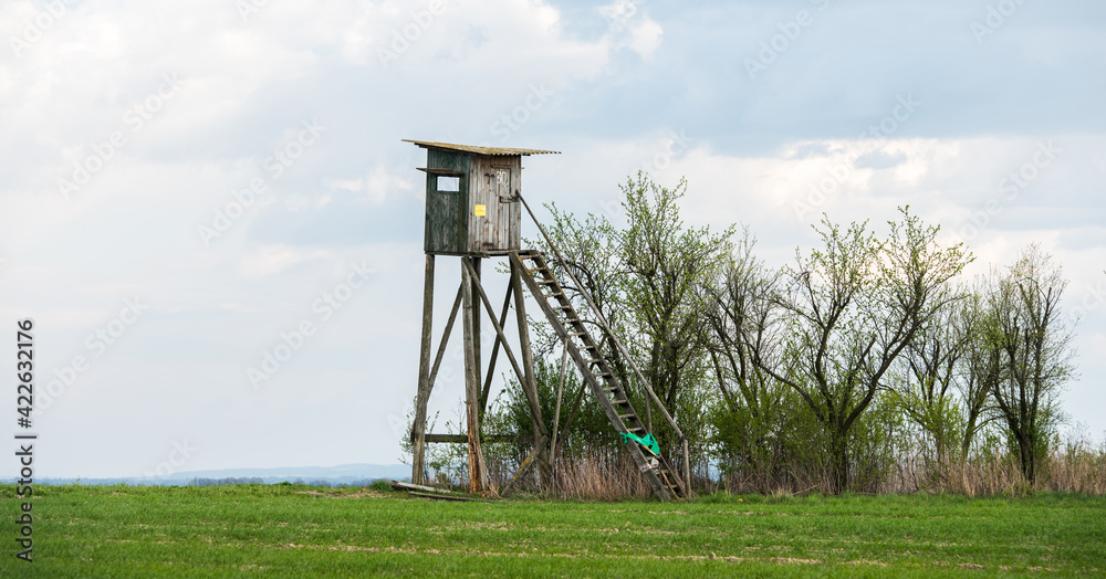 Wooden Hunters High Seat hunting tower on the green agriculture field. 